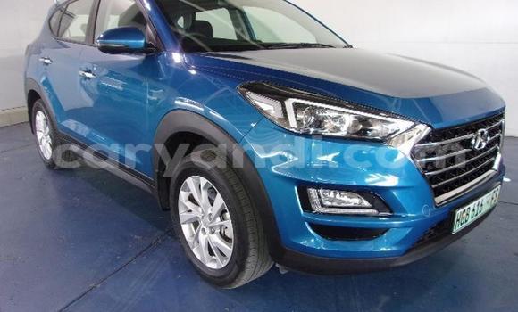 Nunua Ilio tumika Hyundai Tucson Bluu Gari ndani ya Kabwe nchini Zambia Nunua Ilio tumika Hyundai Tucson Bluu Gari ndani ya Kabwe nchini Zambia