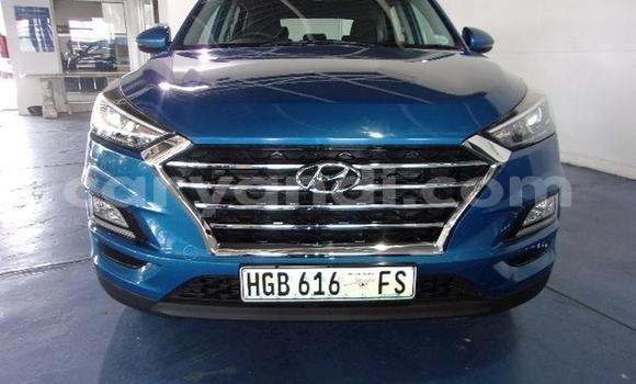 Nunua Ilio tumika Hyundai Tucson Bluu Gari ndani ya Kabwe nchini Zambia Nunua Ilio tumika Hyundai Tucson Bluu Gari ndani ya Kabwe nchini Zambia