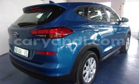 Nunua Ilio tumika Hyundai Tucson Bluu Gari ndani ya Kabwe nchini Zambia Nunua Ilio tumika Hyundai Tucson Bluu Gari ndani ya Kabwe nchini Zambia