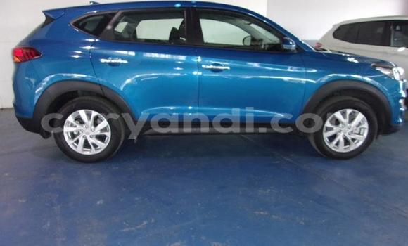 Nunua Ilio tumika Hyundai Tucson Bluu Gari ndani ya Kabwe nchini Zambia Nunua Ilio tumika Hyundai Tucson Bluu Gari ndani ya Kabwe nchini Zambia