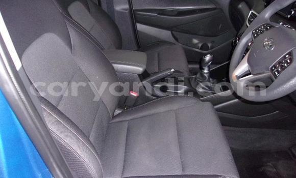 Nunua Ilio tumika Hyundai Tucson Bluu Gari ndani ya Kabwe nchini Zambia Nunua Ilio tumika Hyundai Tucson Bluu Gari ndani ya Kabwe nchini Zambia