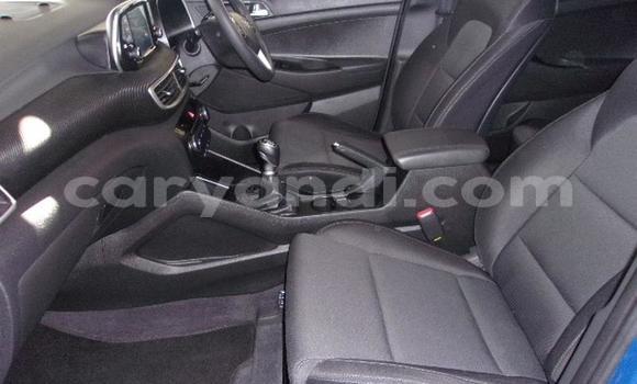 Nunua Ilio tumika Hyundai Tucson Bluu Gari ndani ya Kabwe nchini Zambia Nunua Ilio tumika Hyundai Tucson Bluu Gari ndani ya Kabwe nchini Zambia