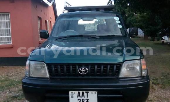 Buy Used Toyota Land Cruiser Prado Green Car in Chipata in Zambia Buy Used Toyota Land Cruiser Prado Green Car in Chipata in Zambia