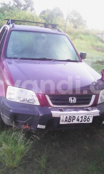 Big with watermark 18209110 441552839513731 2020861592493904555 o