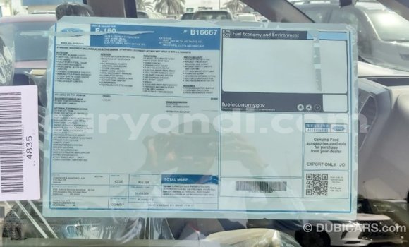 Acheter Import Voiture Ford Club Wagon Rouge à Import - Dubai, Zambie Acheter Import Voiture Ford Club Wagon Rouge à Import - Dubai, Zambie