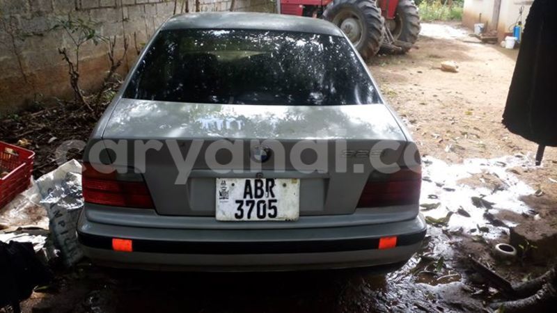 Big with watermark 17523240 446906552317802 3020784409794938775 n