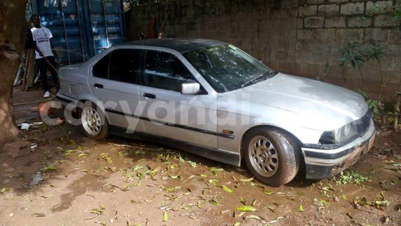 Big with watermark 17796439 1315154081906354 3590367499681648485 n