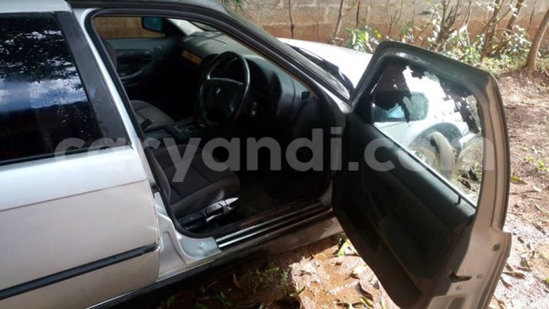 Big with watermark 17796789 902716609870218 4521974656185205947 n