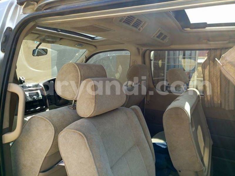 Big with watermark 17796439 1315154081906354 3590367499681648485 n