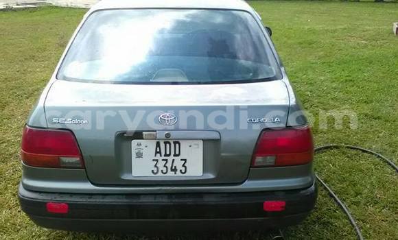 Buy Used Toyota Corolla Other Car in Chipata in Zambia Buy Used Toyota Corolla Other Car in Chipata in Zambia