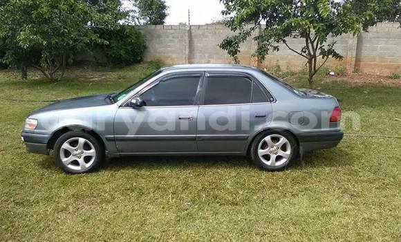 Buy Used Toyota Corolla Other Car in Chipata in Zambia Buy Used Toyota Corolla Other Car in Chipata in Zambia