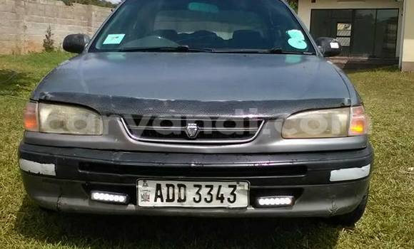 Buy Used Toyota Corolla Other Car in Chipata in Zambia Buy Used Toyota Corolla Other Car in Chipata in Zambia
