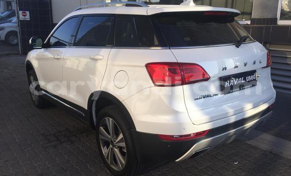 Tenga Tsaru Haval H6 Chena Mota in Livingstone in Zambia Tenga Tsaru Haval H6 Chena Mota in Livingstone in Zambia