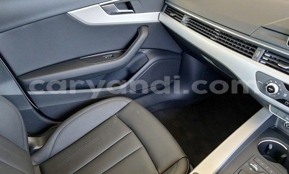 Tenga Tsaru Audi A4 Chena Mota in Chingola in Zambia Tenga Tsaru Audi A4 Chena Mota in Chingola in Zambia