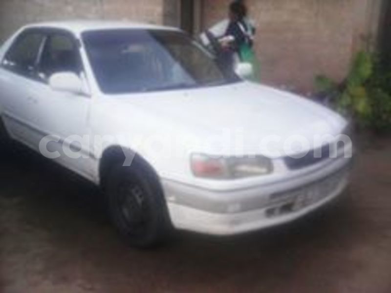 Big with watermark 17523240 446906552317802 3020784409794938775 n