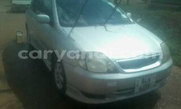 Acheter Occasion Voiture Toyota Runx Gris à Chipata, Zambie Acheter Occasion Voiture Toyota Runx Gris à Chipata, Zambie
