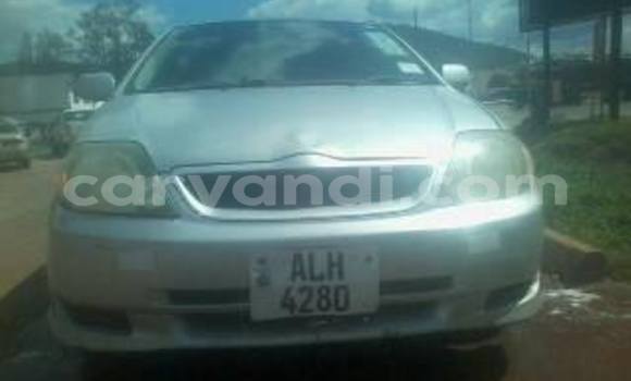 Acheter Occasion Voiture Toyota Runx Gris à Chipata, Zambie Acheter Occasion Voiture Toyota Runx Gris à Chipata, Zambie