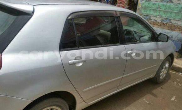 Acheter Occasion Voiture Toyota Runx Gris à Chipata, Zambie Acheter Occasion Voiture Toyota Runx Gris à Chipata, Zambie