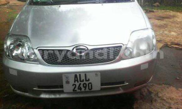 Acheter Occasion Voiture Toyota Runx Gris à Chipata, Zambie Acheter Occasion Voiture Toyota Runx Gris à Chipata, Zambie