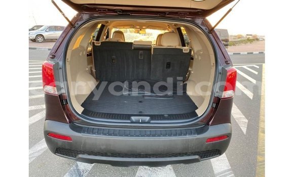 Buy Import Kia Sorento Brown Car in Import - Dubai in Zambia Buy Import Kia Sorento Brown Car in Import - Dubai in Zambia