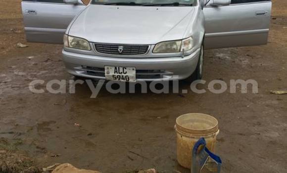 Buy Used Toyota Corolla Silver Car in Chipata in Zambia Buy Used Toyota Corolla Silver Car in Chipata in Zambia