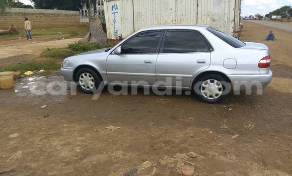 Buy Used Toyota Corolla Silver Car in Chipata in Zambia Buy Used Toyota Corolla Silver Car in Chipata in Zambia