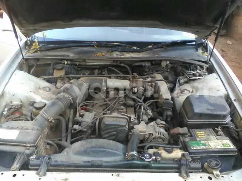 Big with watermark 17796439 1315154081906354 3590367499681648485 n