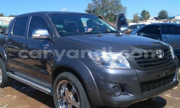 Tenga Tsaru Toyota Hilux Nhema Mota in Lusaka in Zambia Tenga Tsaru Toyota Hilux Nhema Mota in Lusaka in Zambia