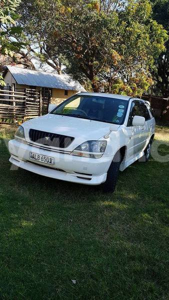 Big with watermark 17795701 10206966928850318 4670280897170890025 n