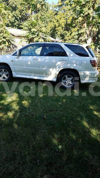 Big with watermark 17796789 902716609870218 4521974656185205947 n