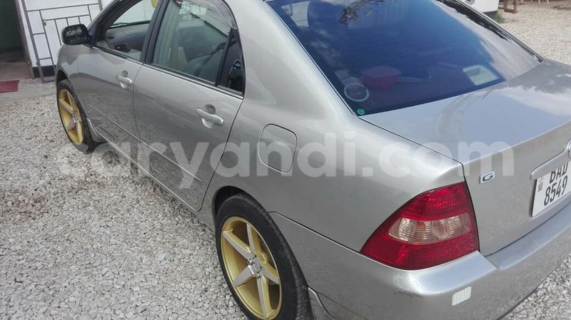 Big with watermark 17795701 10206966928850318 4670280897170890025 n