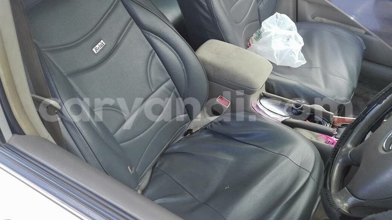 Big with watermark 17796439 1315154081906354 3590367499681648485 n