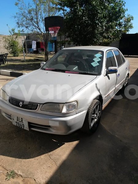 Big with watermark 17795701 10206966928850318 4670280897170890025 n