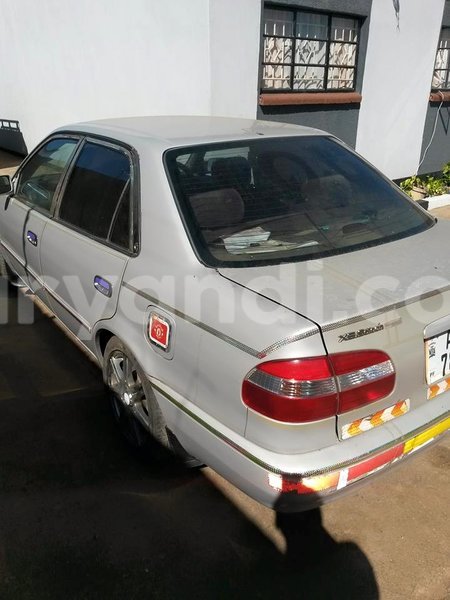 Big with watermark 17796439 1315154081906354 3590367499681648485 n