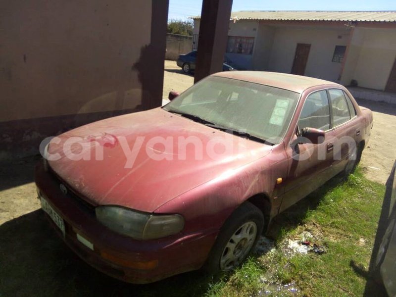 Big with watermark 17795701 10206966928850318 4670280897170890025 n