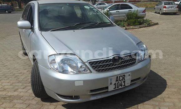 Tenga Tsaru Toyota Corolla Sirivha Mota in Lusaka in Zambia Tenga Tsaru Toyota Corolla Sirivha Mota in Lusaka in Zambia