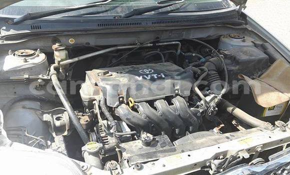 Tenga Tsaru Toyota Corolla Sirivha Mota in Lusaka in Zambia Tenga Tsaru Toyota Corolla Sirivha Mota in Lusaka in Zambia