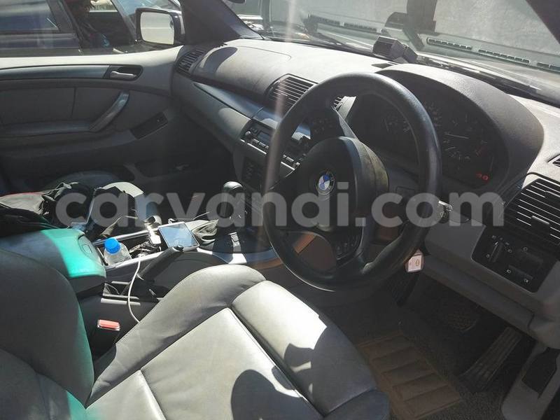 Big with watermark 17796439 1315154081906354 3590367499681648485 n