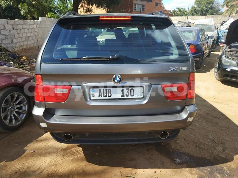 Big with watermark 17795701 10206966928850318 4670280897170890025 n