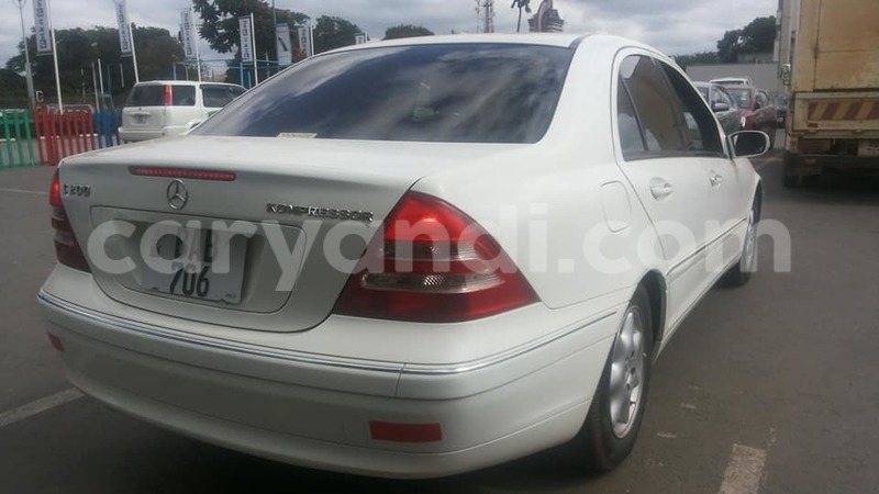 Big with watermark 17795701 10206966928850318 4670280897170890025 n