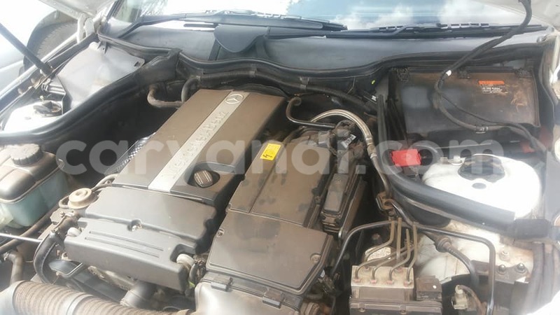 Big with watermark 17796789 902716609870218 4521974656185205947 n