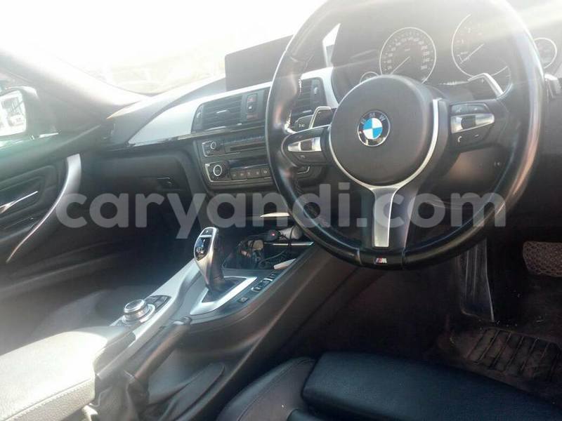 Big with watermark 17796439 1315154081906354 3590367499681648485 n