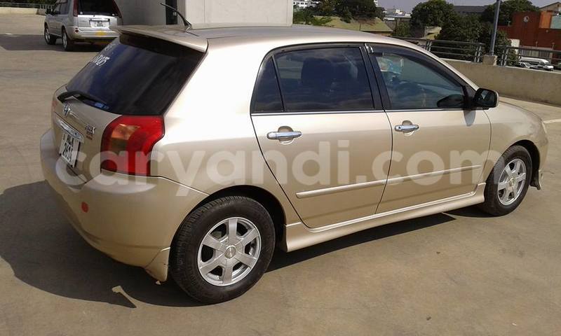 Big with watermark 17796439 1315154081906354 3590367499681648485 n