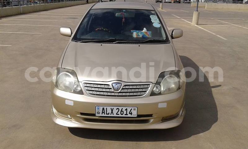 Big with watermark 17795701 10206966928850318 4670280897170890025 n