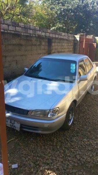 Big with watermark 17795701 10206966928850318 4670280897170890025 n