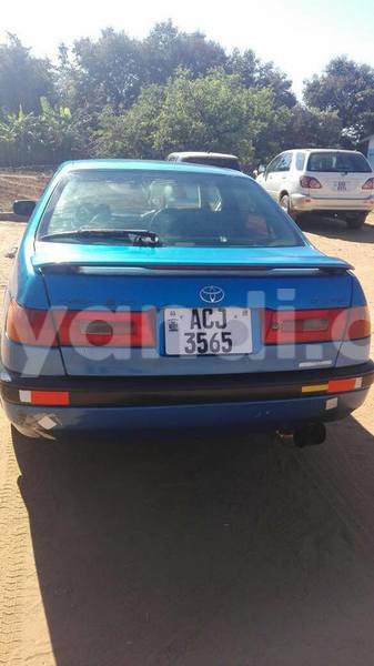 Big with watermark 17796789 902716609870218 4521974656185205947 n