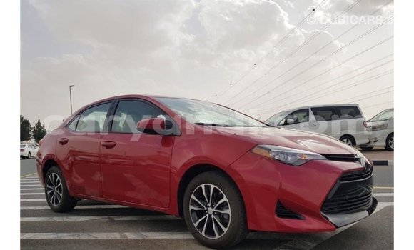 Buy Import Toyota Corolla Red Car in Import - Dubai in Zambia Buy Import Toyota Corolla Red Car in Import - Dubai in Zambia