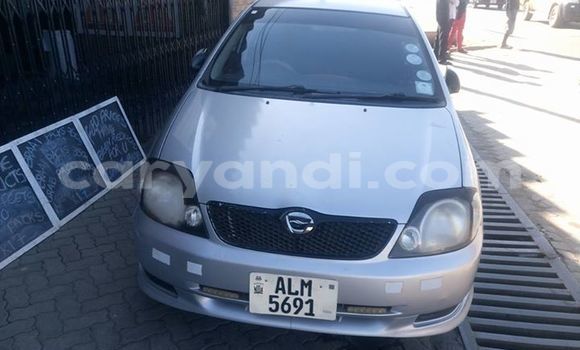 Buy Used Toyota Runx Silver Car in Lusaka in Zambia Buy Used Toyota Runx Silver Car in Lusaka in Zambia