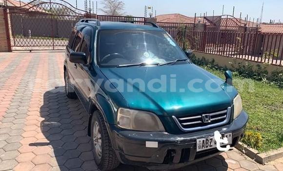 Buy Used Honda CR–V Green Car in Lusaka in Zambia Buy Used Honda CR–V Green Car in Lusaka in Zambia
