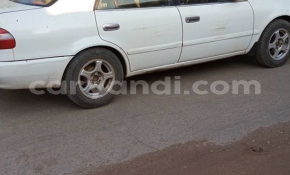 Buy Used Toyota Corolla White Car in Lusaka in Zambia Buy Used Toyota Corolla White Car in Lusaka in Zambia